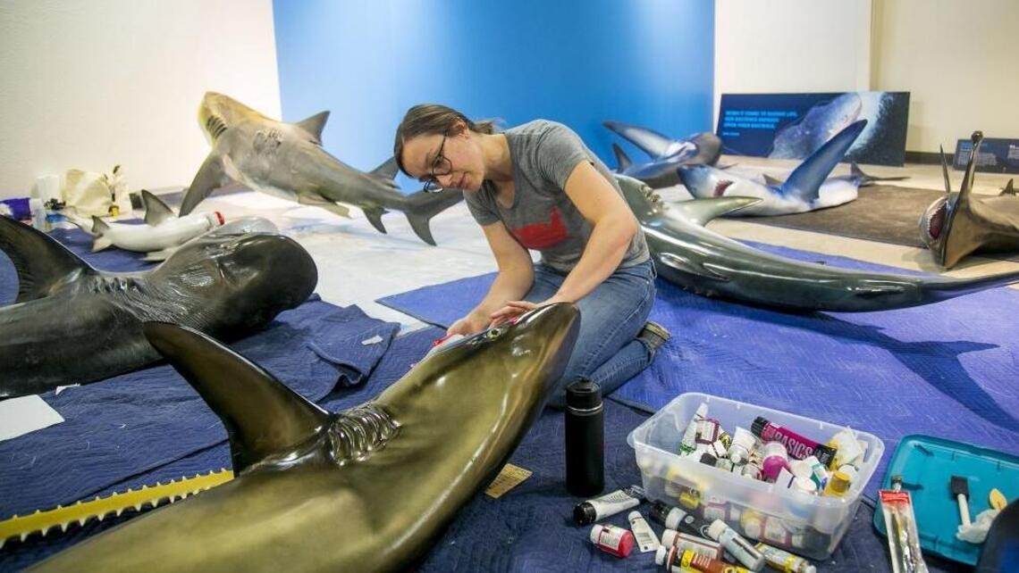 ‘Planet Shark’ brings one of most fearsome sea creatures to the Discovery Center