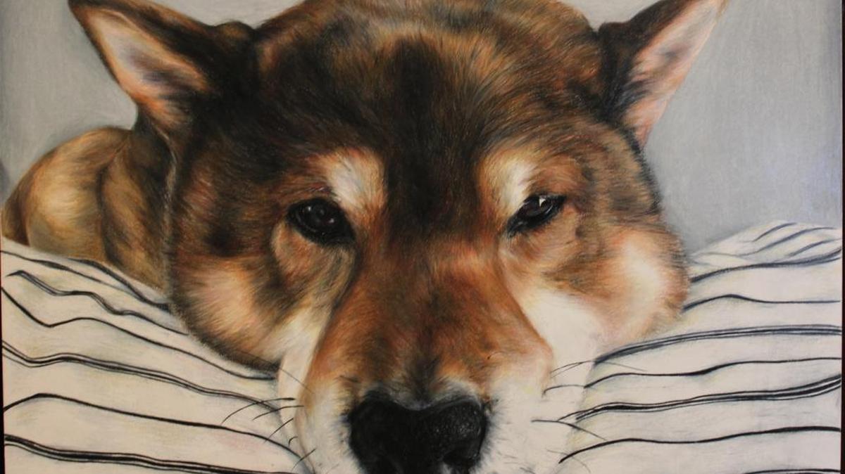 Idaho Fine Arts Academy student Andi Rados did the color pencil drawing “Peyton.” The portrait was commissioned by Peyton’s owner.