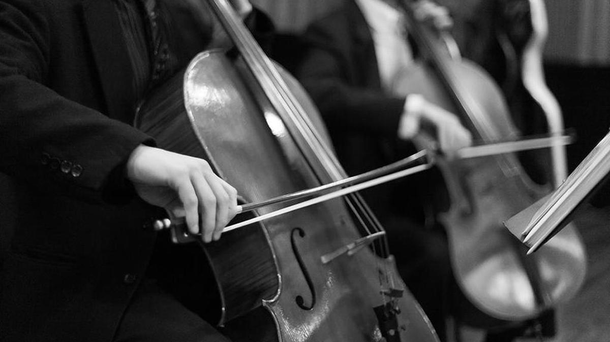 Boise’s Cello Collective will perform in Caldwell.