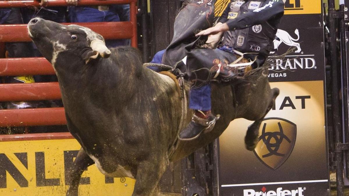 Guilherme Marchi returns for the Professional Bull Riders event Friday, Oct. 7, and Saturday, Oct. 8, at the Ford Idaho Center in Nampa.
