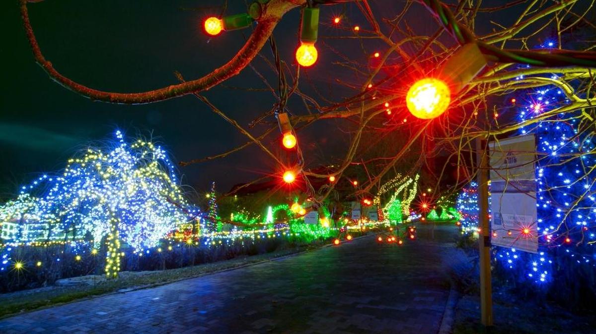 The Idaho Botanical Garden’s Winter Garden aGlow.