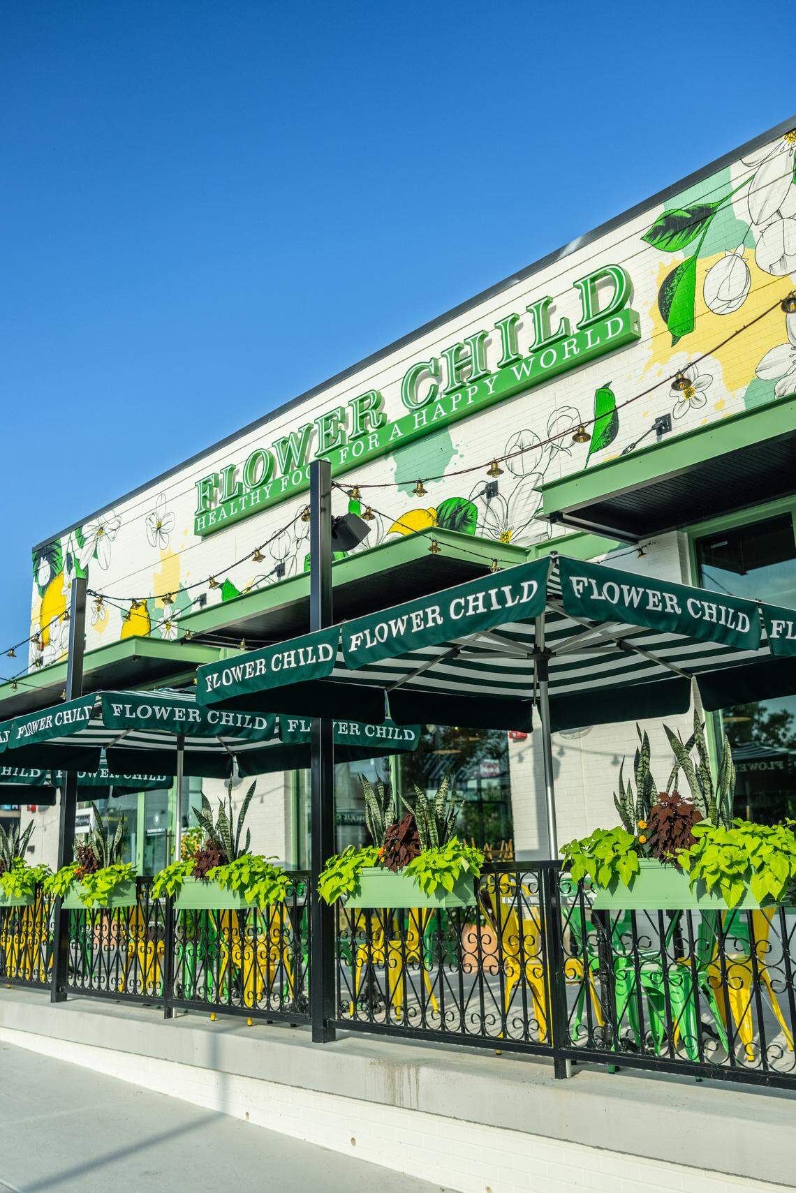 Flower Child currently has restaurants in 15 states.