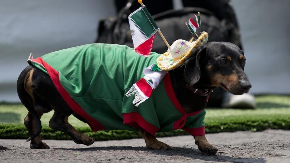 Wanna race, little buddy? Not in Idaho. Try Mexico.