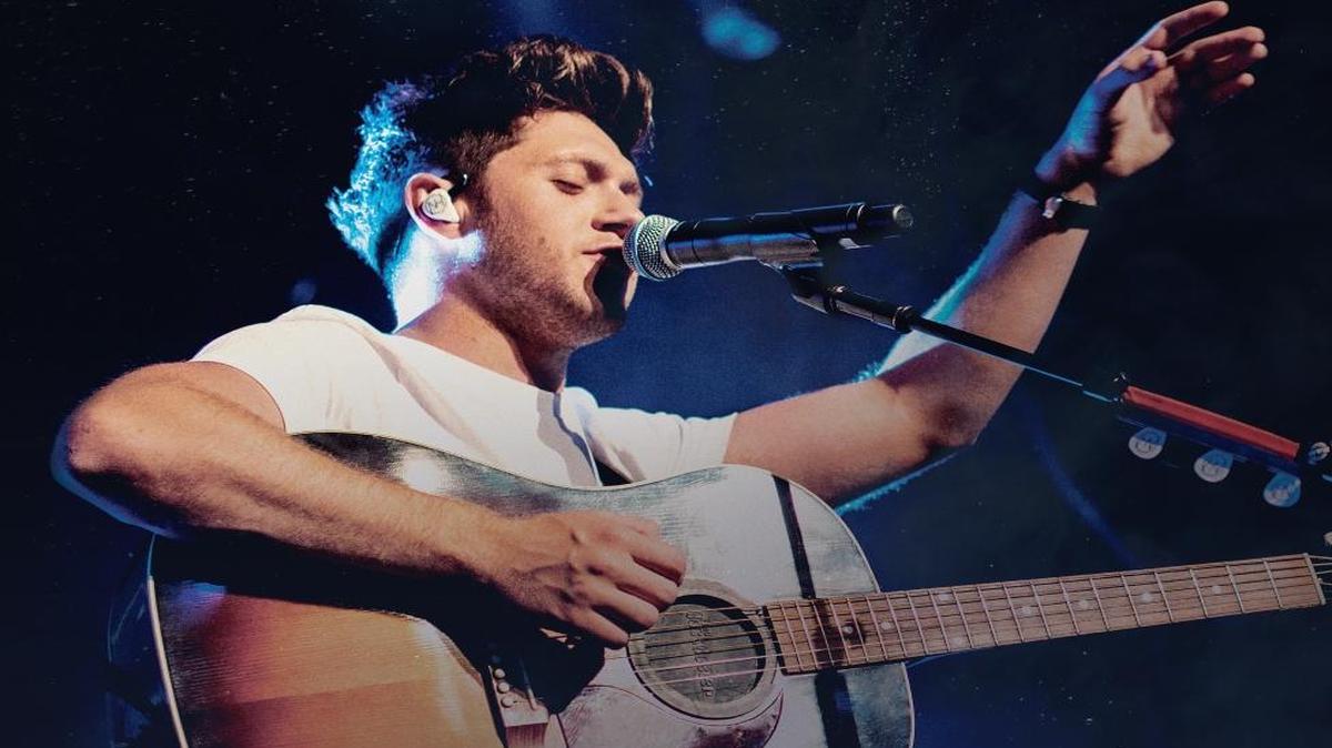 Fans have kept tabs on Niall Horan since his former band, One Direction, dissolved a couple of years ago. Horan has almost 34 million Twitter followers.