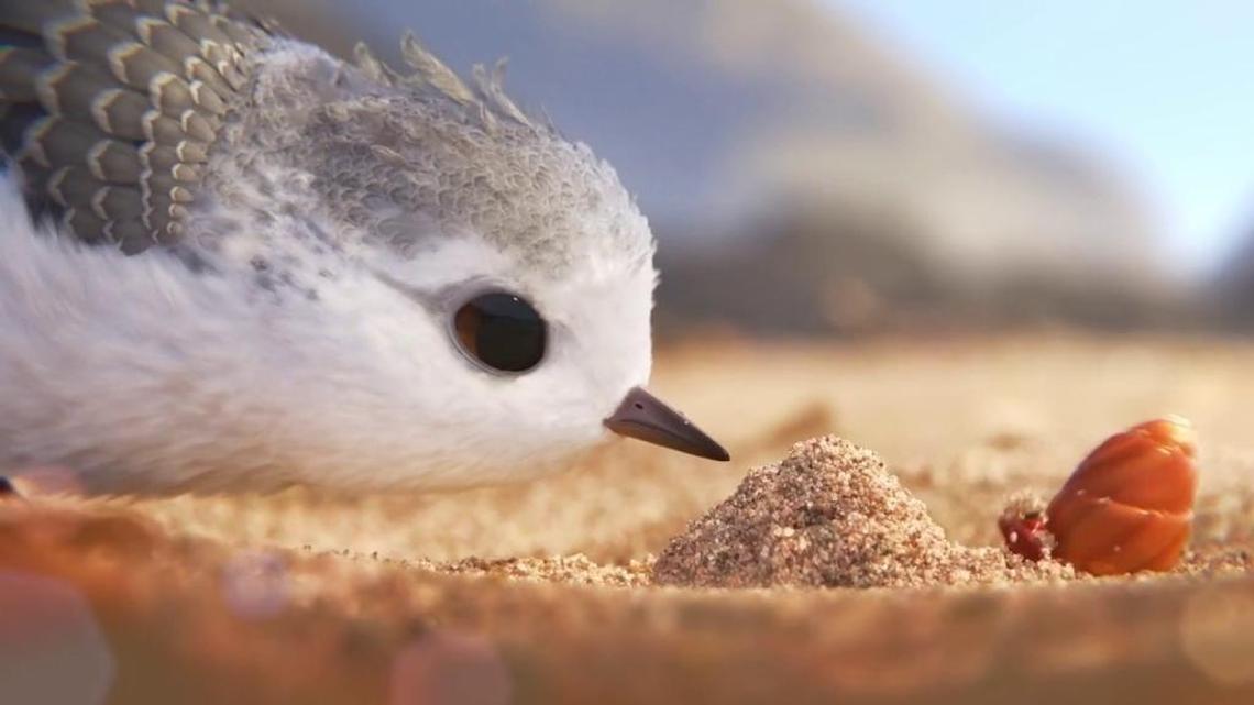 “Piper,” from Pixar Animation Studios, tells the story of a sandpiper hatchling who ventures from her nest for the first time to dig for food. But the food is buried beneath the sand where scary waves roll up onto the shore.