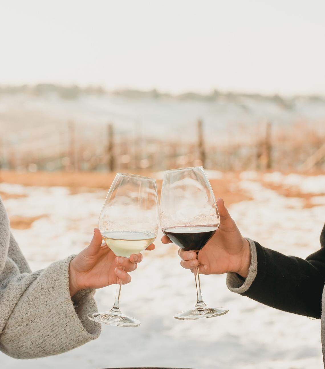 Dude DeWalt Cellars is a destination for wine drinkers in the Eagle Foothills.