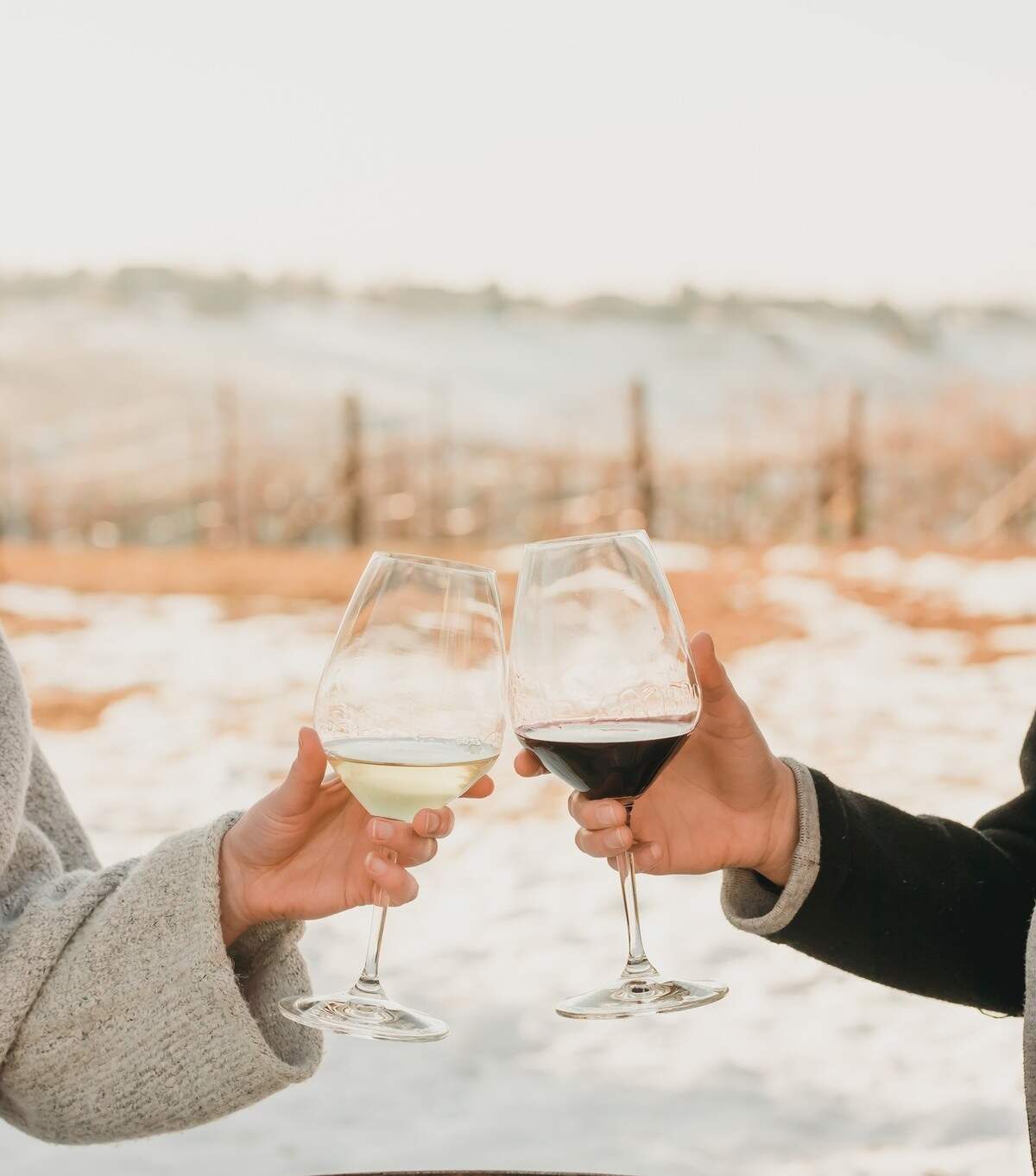 Dude DeWalt Cellars is a destination for wine drinkers in the Eagle Foothills.