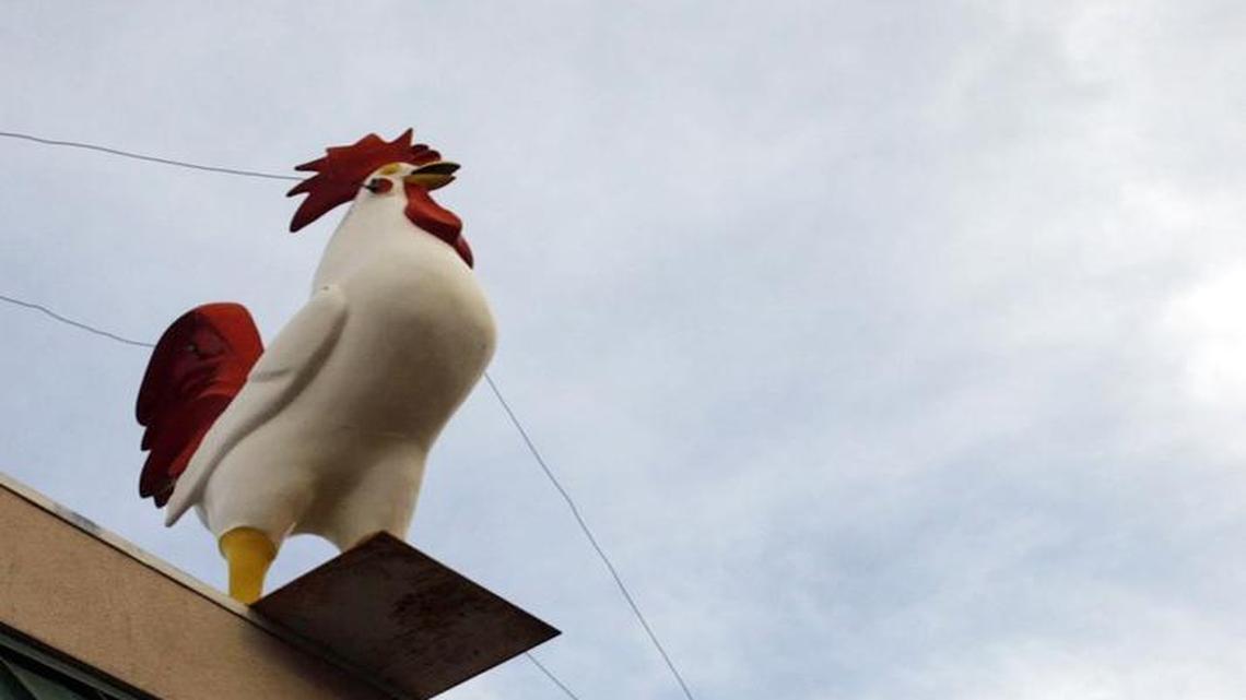 The giant rooster above Jim’s Coffee Shop is one of the landmarks in the North End.