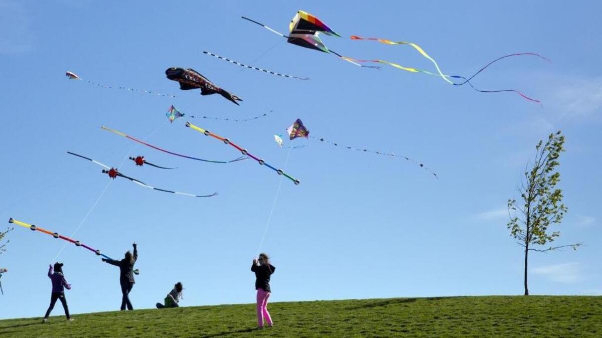 Julius M. Kleiner Park is the largest park in Meridian and the home to the Treasure Valley Kite Festival.