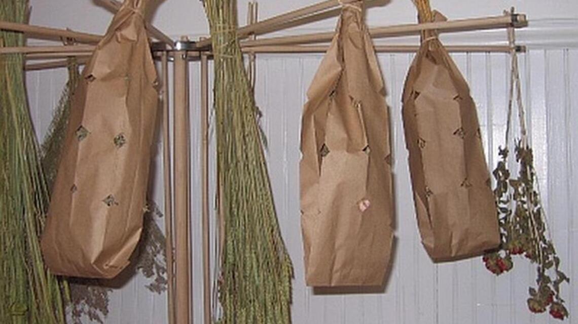 Growing and drying herbs in summer is a great way to benefit your culinary world