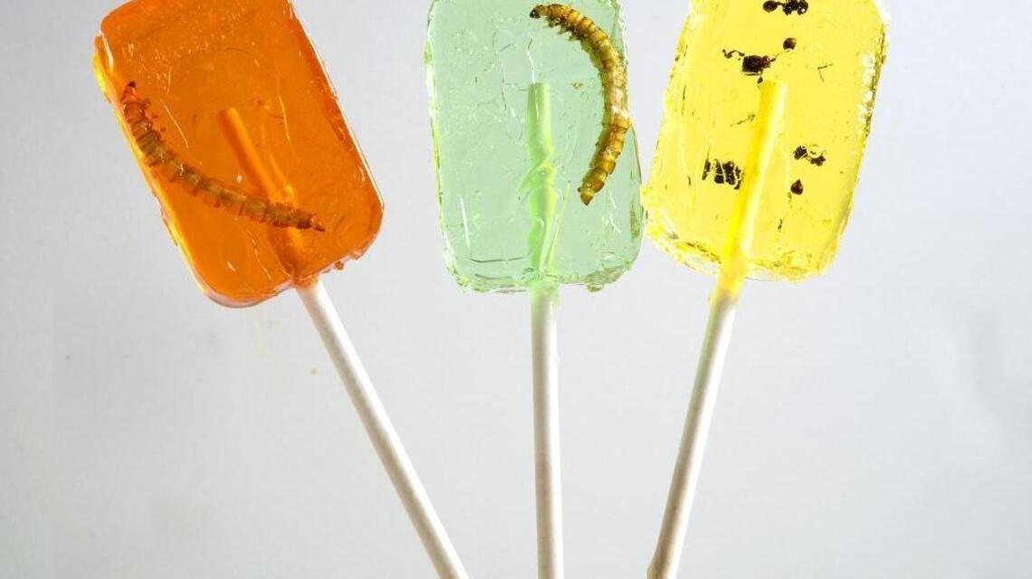 Eww! Kids, adults to eat bugs Saturday at Idaho Botanical Garden