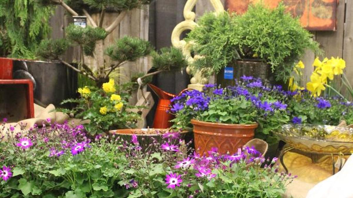 The Boise Flower & Garden Show will fill the Boise Centre with ideas for your spring planting and more.