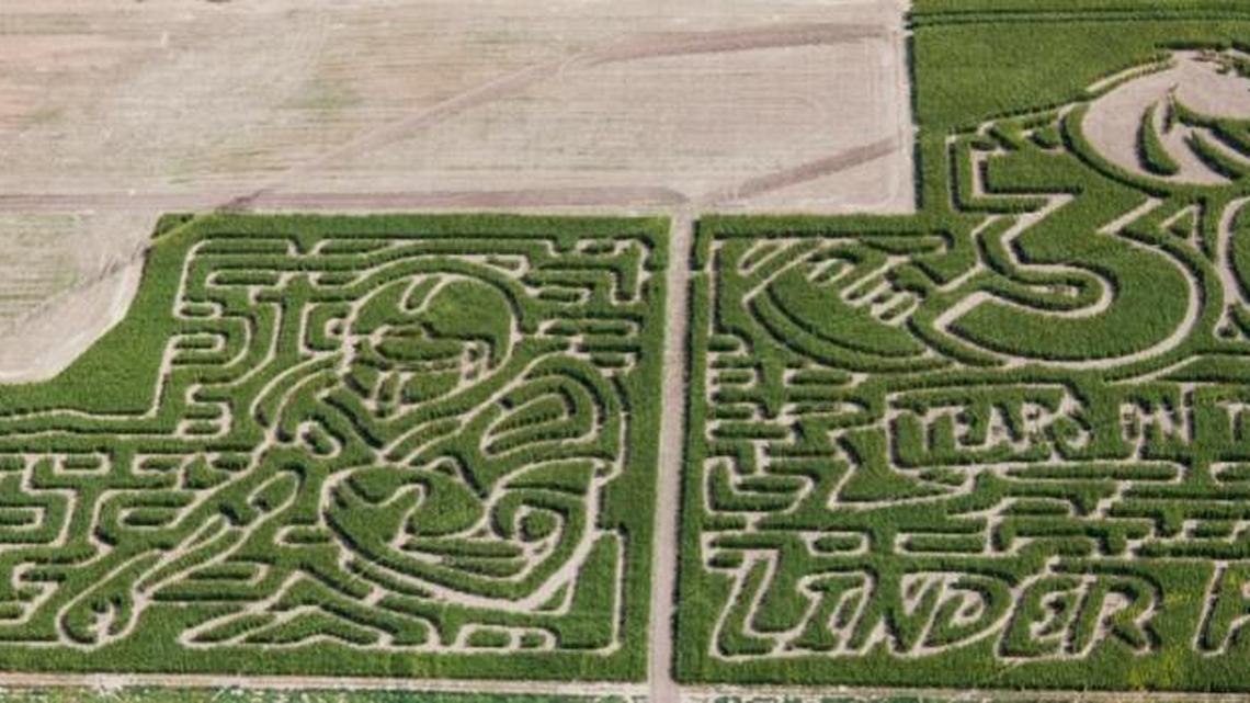 Get lost in this year’s Boise State Bronco-themed maze “30 Years on the Blue” at Linder Farms Pumpkin Patch and Corn Maze in Meridian.