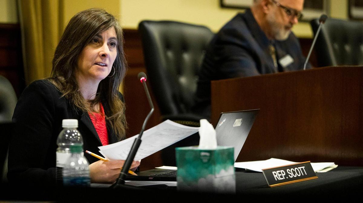 Rep. Heather Scott, R-Blanchard, on Thursday introduced a bill that would expand Idaho’s ban on cannibalism based on a video she saw on an airplane. The video is a prank.