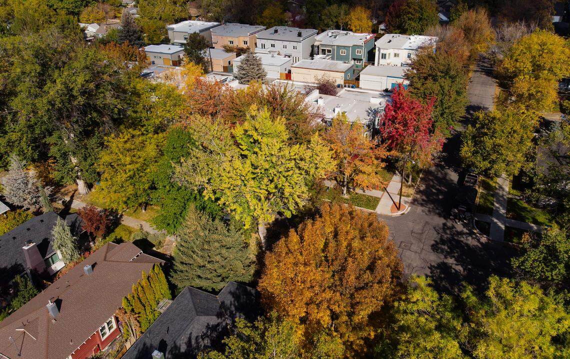 Autumn leaves highlight the tree canopy in Boise’s Historic East End neighborhood in October 2022.