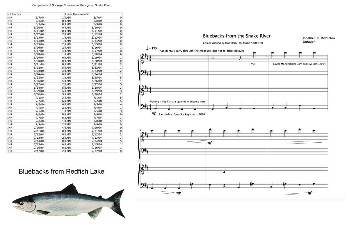 Data collected representing a run of sockeye salmon through the Lower Monumental Dam on the Snake River.  The daily fish count from 2004 was mapped to a piano range and can be seen as the subtle raising and lowering of notes.