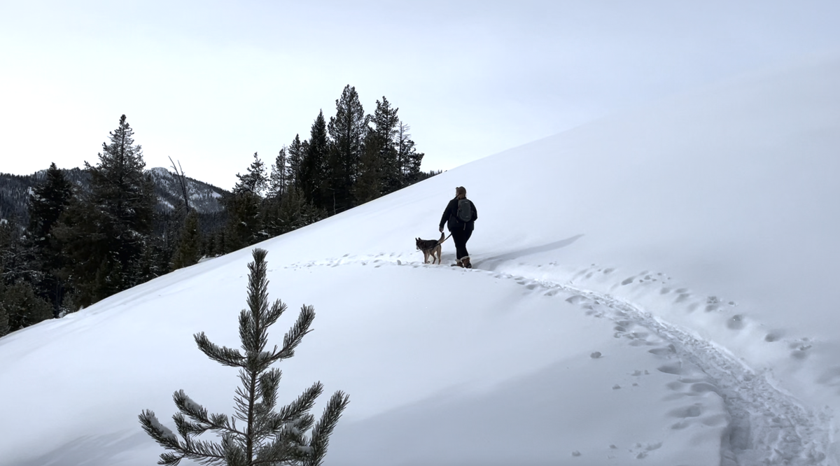 Emily Turner, of Boise, snowshoes with Galena Lodge “loaner dog” Rio on Galena View Trail on Friday, Jan. 26, 2024.