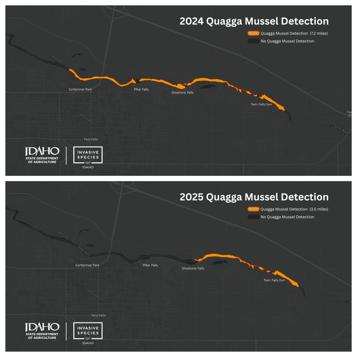 Idaho found no quagga mussels in two segments of the Snake River, from Centennial Park in Twin Falls to Shoshone Falls, that previously were infested.