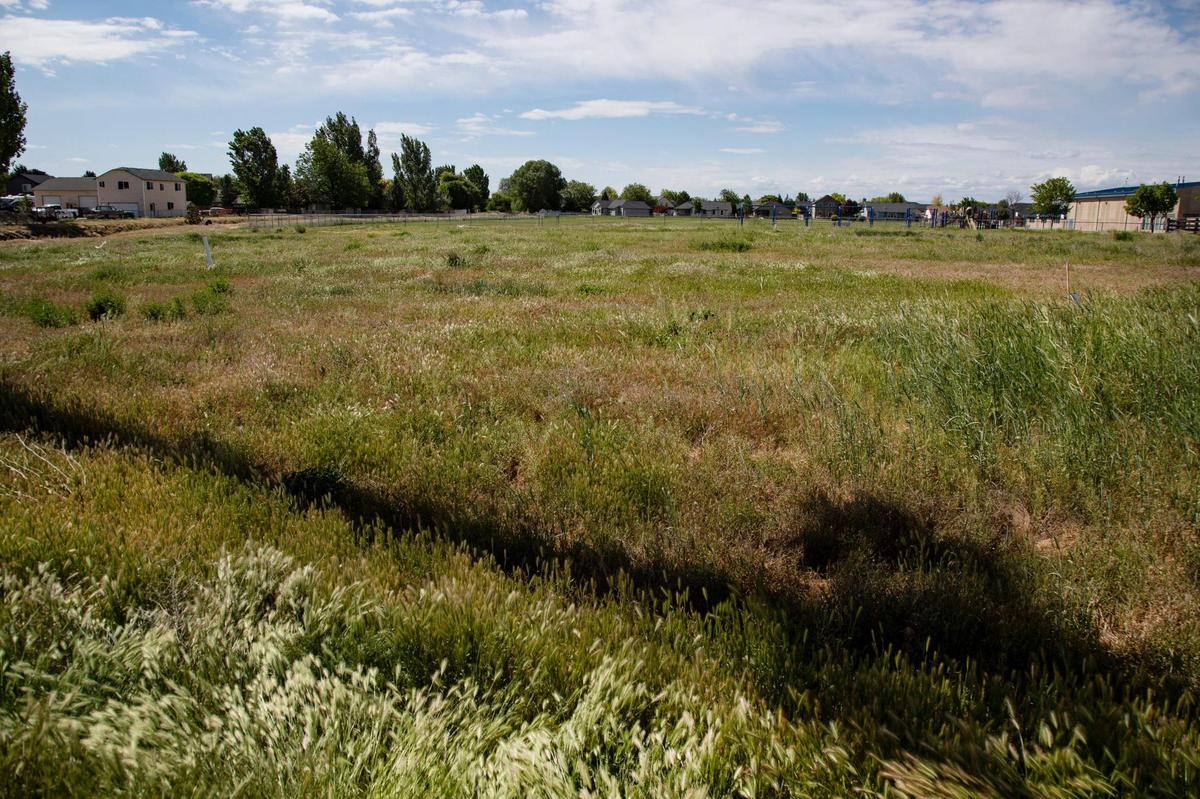 Nampa Fire Chief Kirk Carpenter says this plot of land on Roosevelt Ave. will be the future site of Fire Station 6.