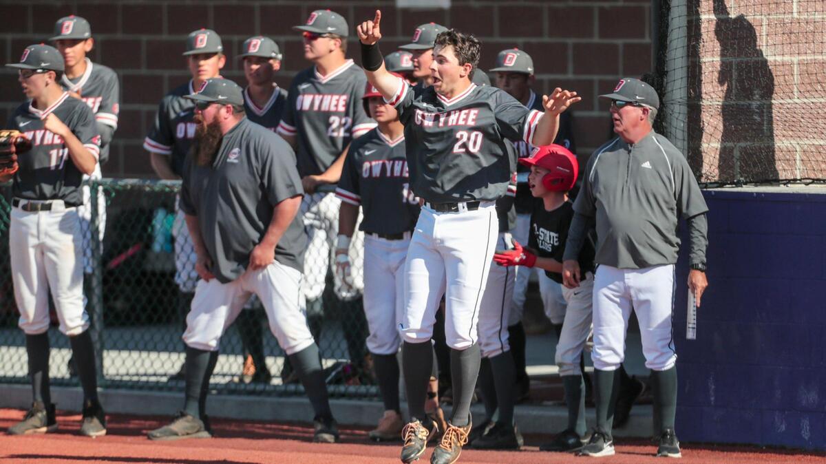 Owyhee sophomore Ryder Cutlip (20) and the Storm dugout cheer as they see runners advance into scoring position against Mountain View in the top of the seventh inning Friday during the 5A baseball state semifinals at Wolfe Field in Caldwell.