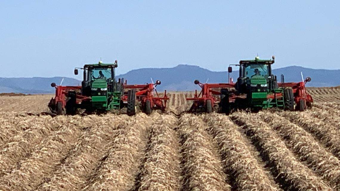 An Idaho potato farm is shown in this file photo.