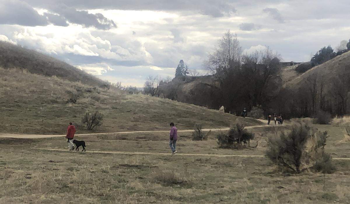 Harrison Hollow is one of the Boise Foothills most popular dog walking trails.