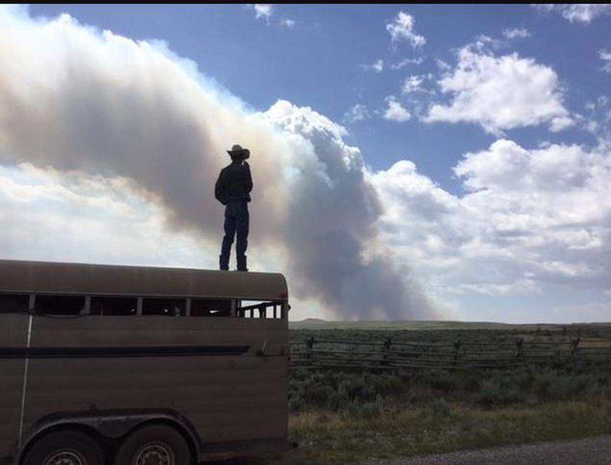 Nearly 3,000 cows were transported on July 29, 2018, from Red Road north, near the Grassy Ridge Fire. Ranchers spent the day shipping out any cattle near the fire. So far, Grassy Ridge has burned about 100,000 acres in East Idaho.