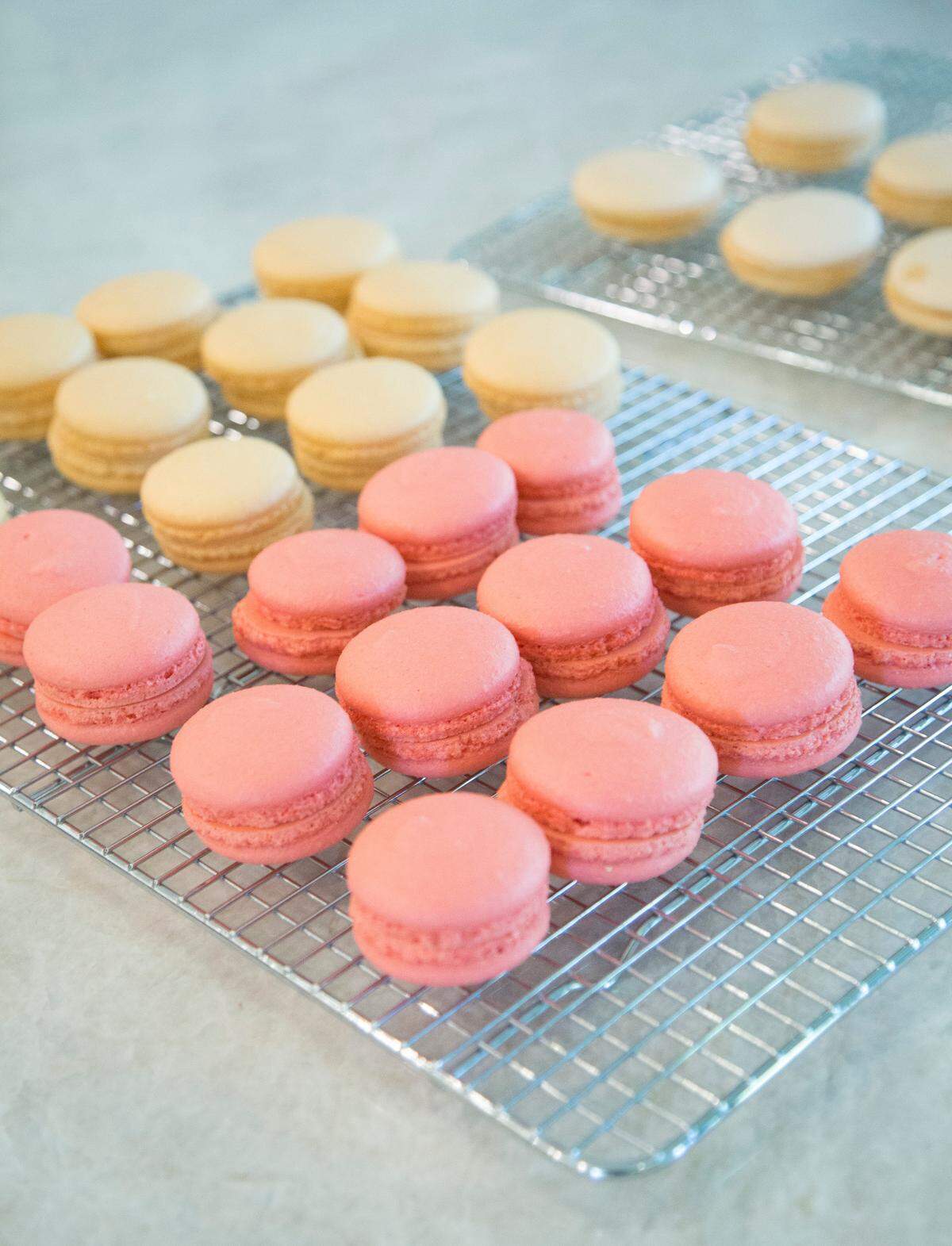 Macaroons prepared by Rose Gebran