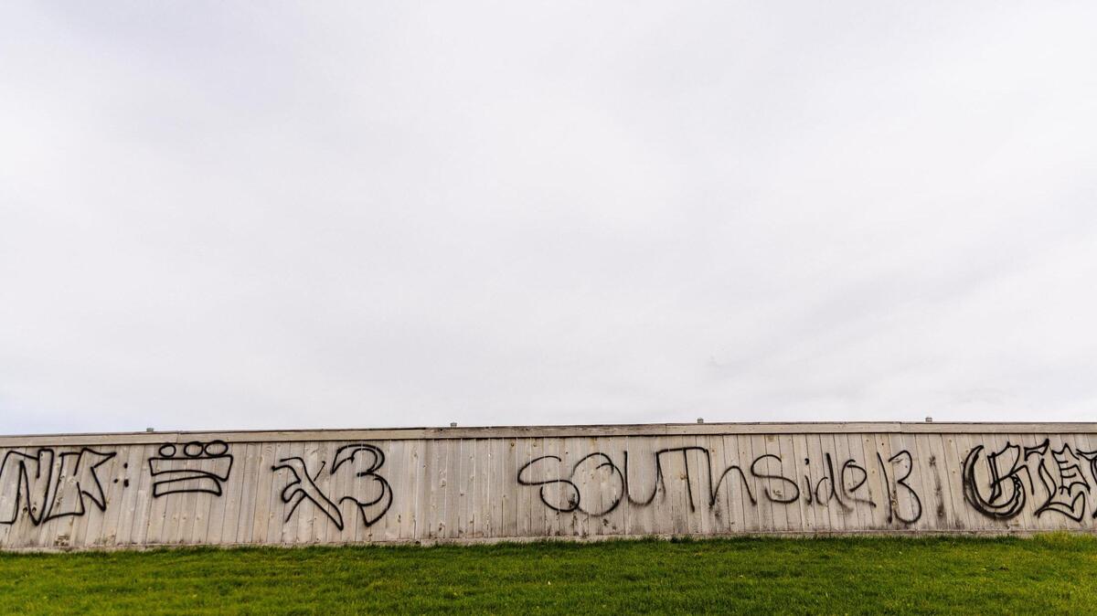 A long, wooden fence in a residential area of Caldwell is covered in spray-painted markings, including tags from either the Norteños or Sureños gangs.