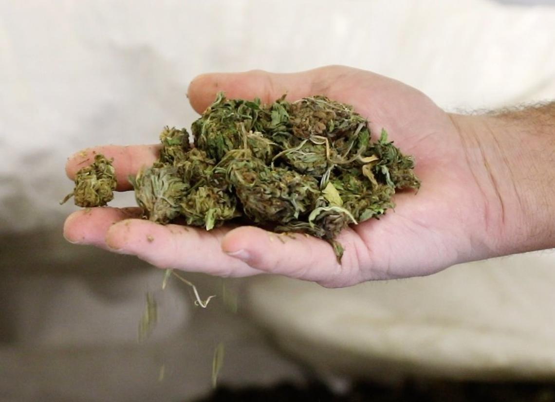 Treasure Valley Extraction, an Ontario business launched by a Boise businessman, starts with 300-pound bags of dried hemp flowers. They are crushed and compressed in a 72-hours process that ends up with THC-free CBD powder.