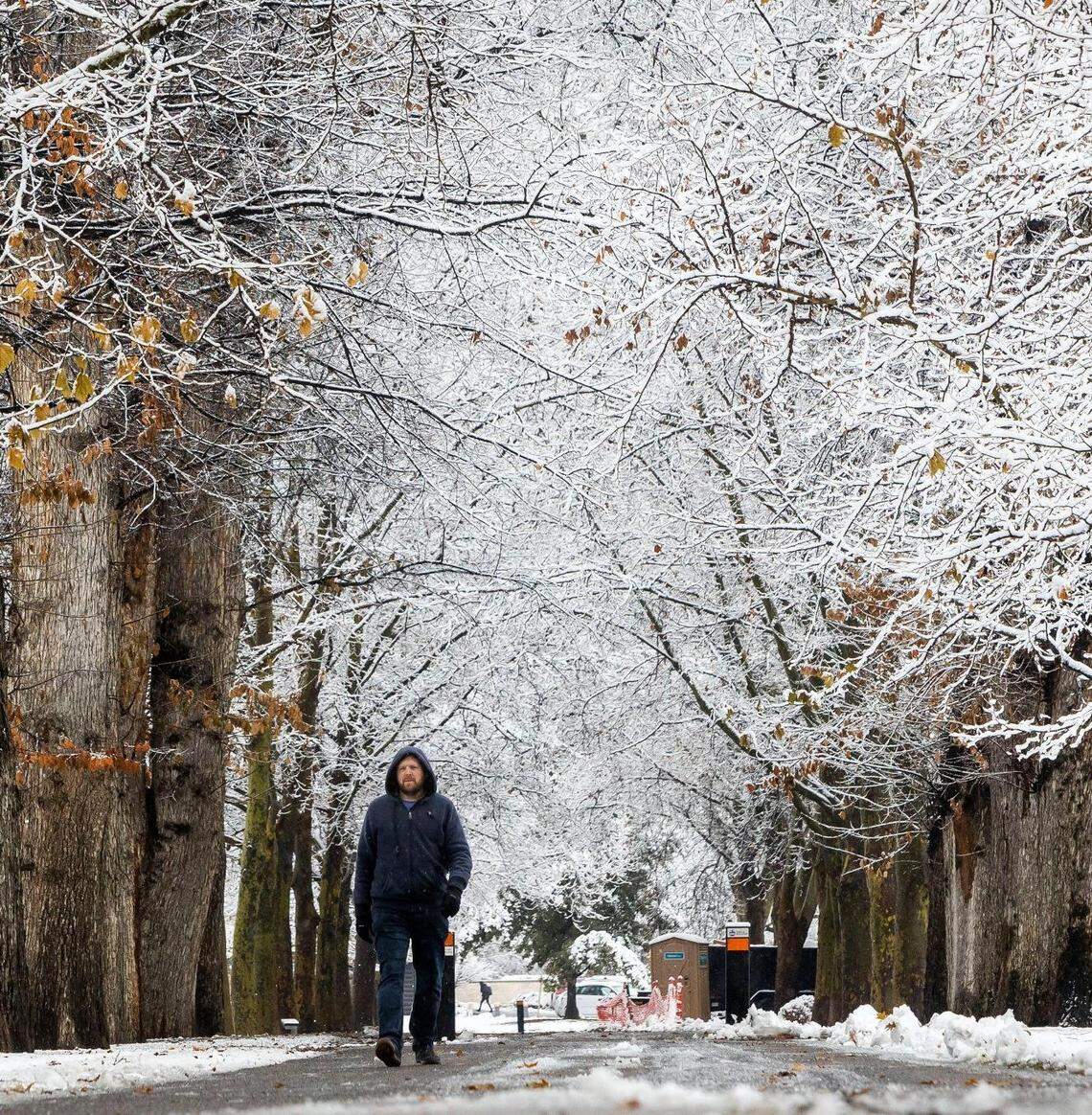 Jesse Schlender of Boise, walks through the winter wonderland of Julia Davis Park after overnight storms dropped several inches of snow on Boise.