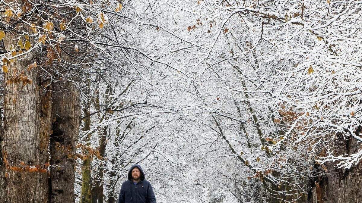 Jesse Schlender, of Boise, walks through the winter weather of Julia Davis Park after storms dropped more snow on Boise.