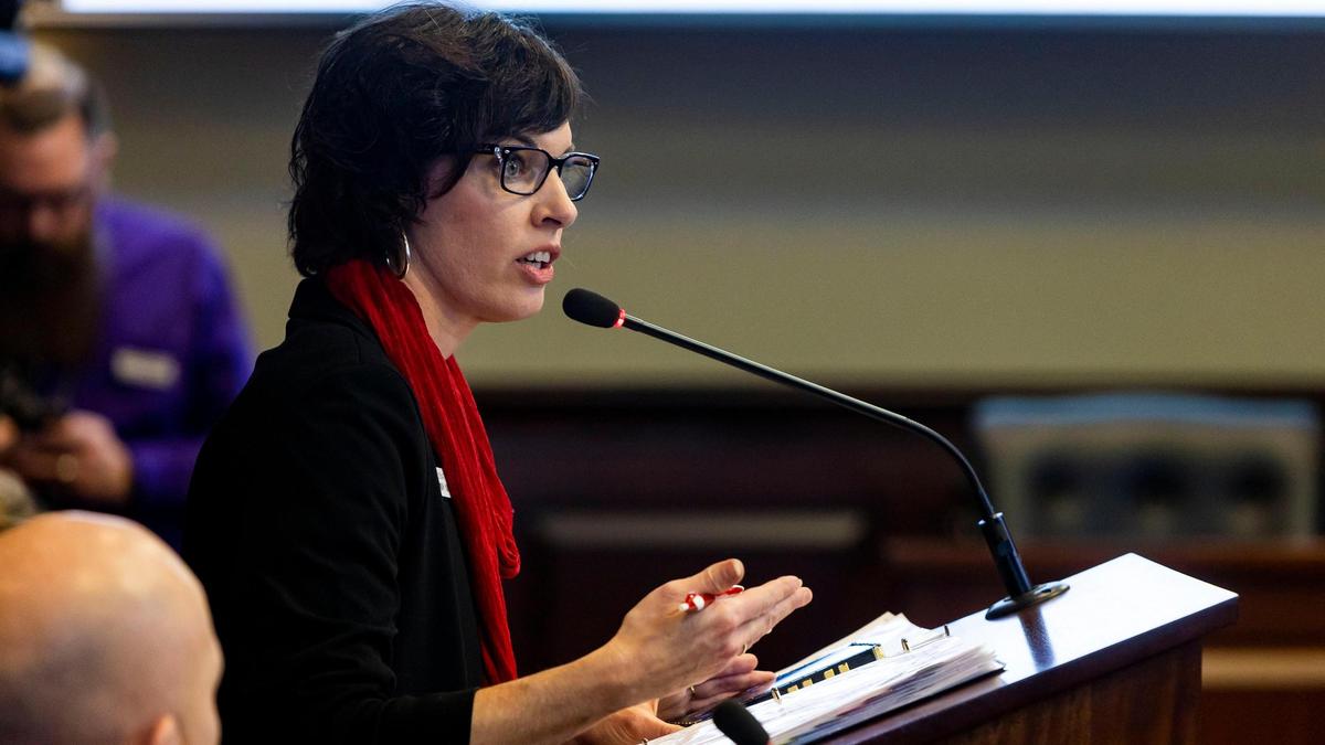 Idaho Sen. Tammy Nichols, R-Middleton, proposed a bill on Monday to update a state law intended to prevent high-profile prisoners from profiting off their crimes.