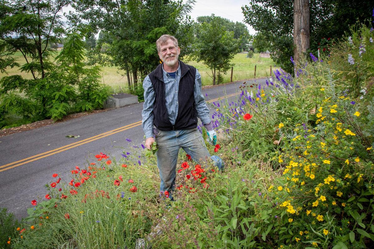 Richard Llewellyn says that development in Northwest Boise should be a trade-off: more density for more open space. “We didn’t see that trade-off.” He’d like to see natural open space, like his pollinator garden, along Old Hill Road where he lives. “It could be developed with more sensitivity to what was here,” he said.