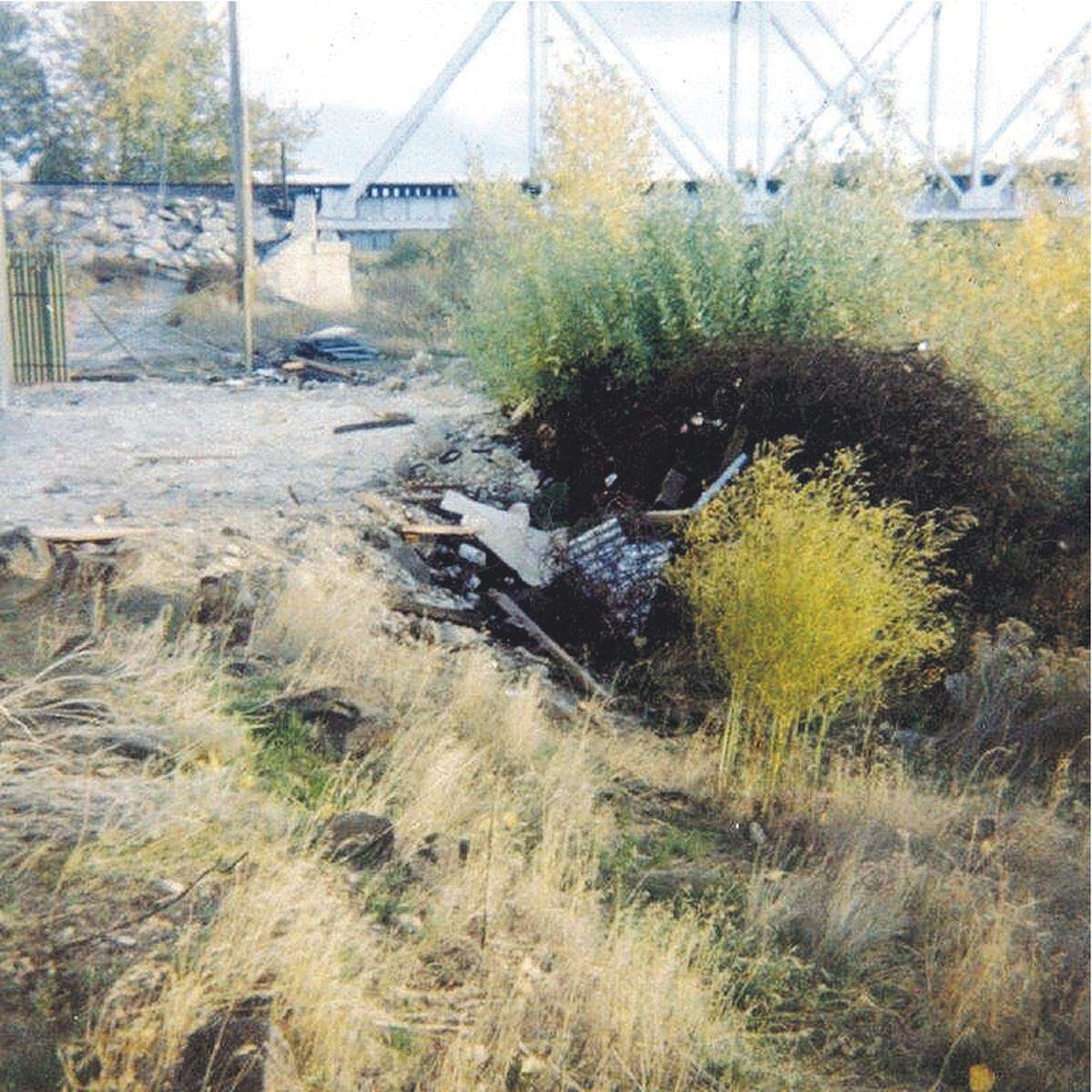 The railroad trestle bridge between Americana Boulevard and Fairview Avenue in the late 1960s or early 1970s. The Greenbelt “connector” from the Bench goes over the bridge now.