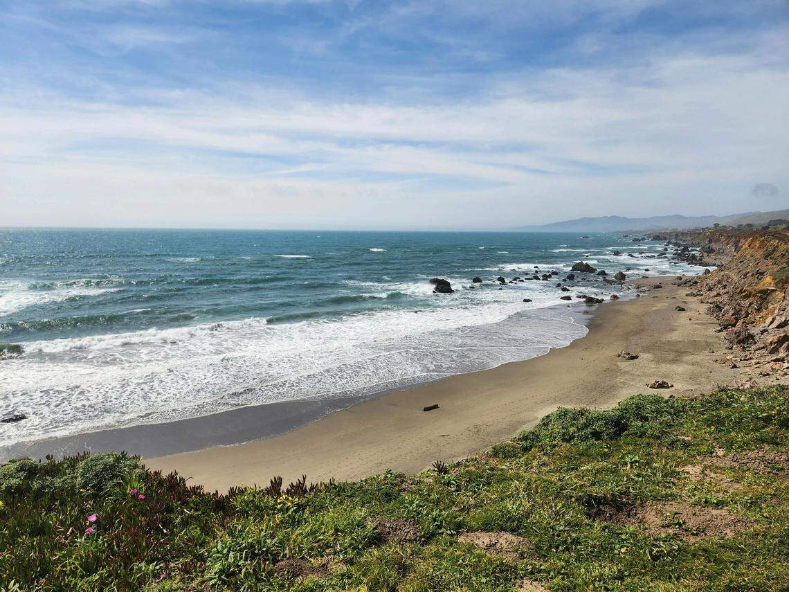 Sonoma County is near the Pacific Ocean.