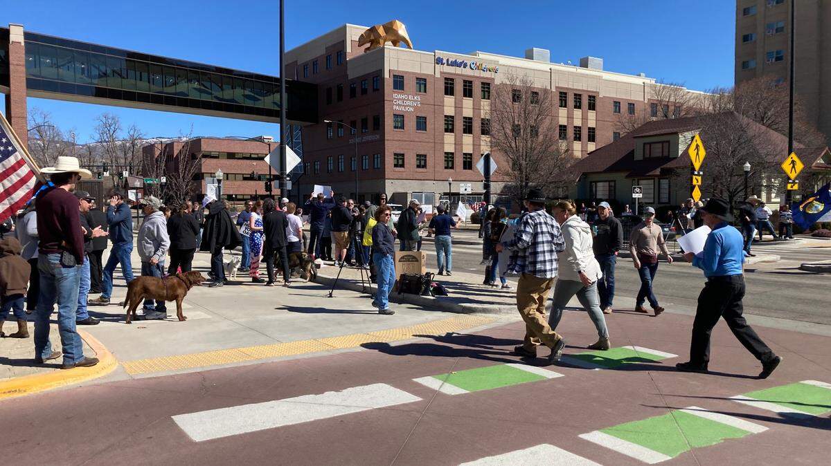 About 140 people stood on the sidewalk outside the St. Luke’s Boise Medical Center on Avenue B on Saturday afternoon to protest the state’s taking of a 10-month-old child from his mother.