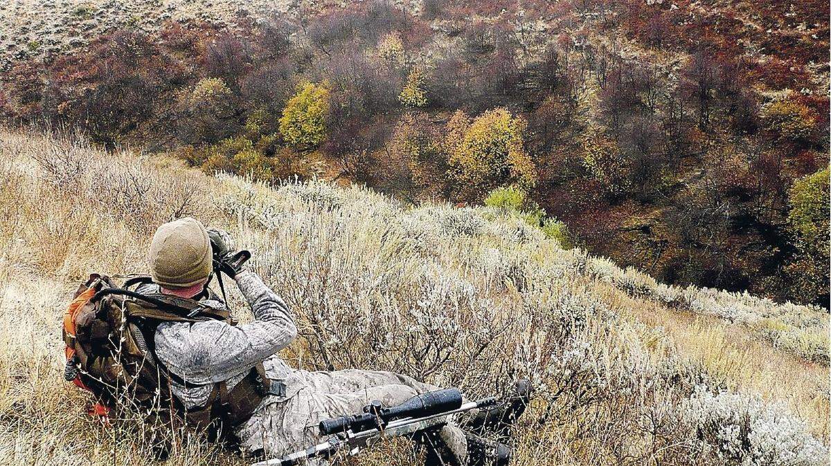 An elk hunter scouts for game in the hills north of Boise in this Idaho Statesman file photo.