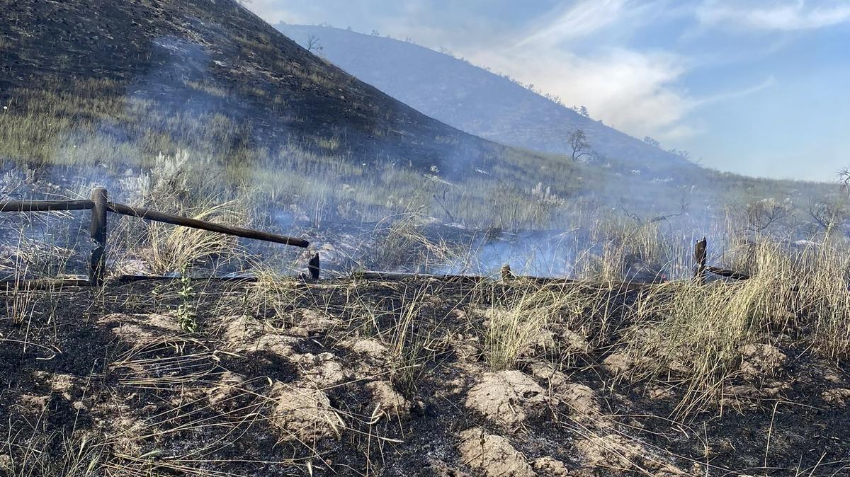 A fire is burning in grass and vegetation in the Boise Foothills.