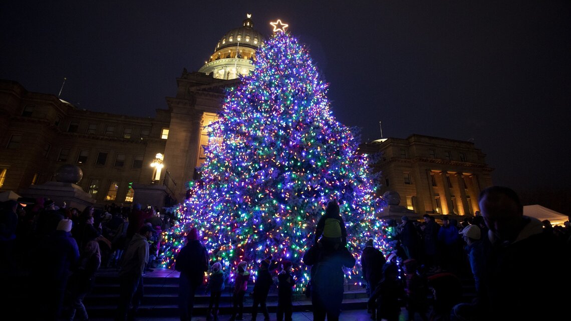 Oh, Capitol Christmas tree! How lovely are your lights!