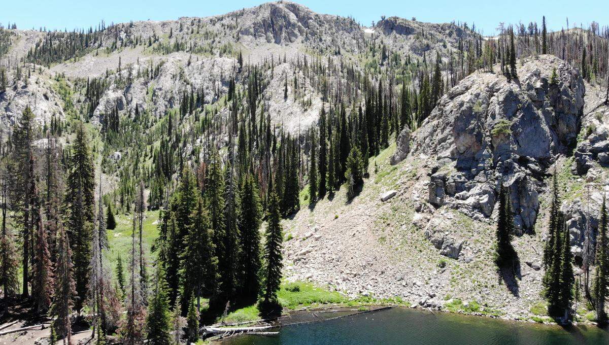 The forest gives way to rock on the eastern shore of Jennie Lake, where Wolf Mountain towers above.