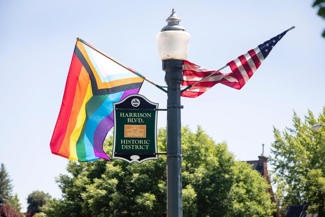 Pride flags fly along Harrison Boulevard in 2024.