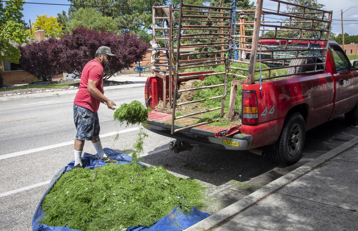 Salvador Jimenez and Kelly Clausen go work wherever they can get clients, and often depend on word-of-mouth.