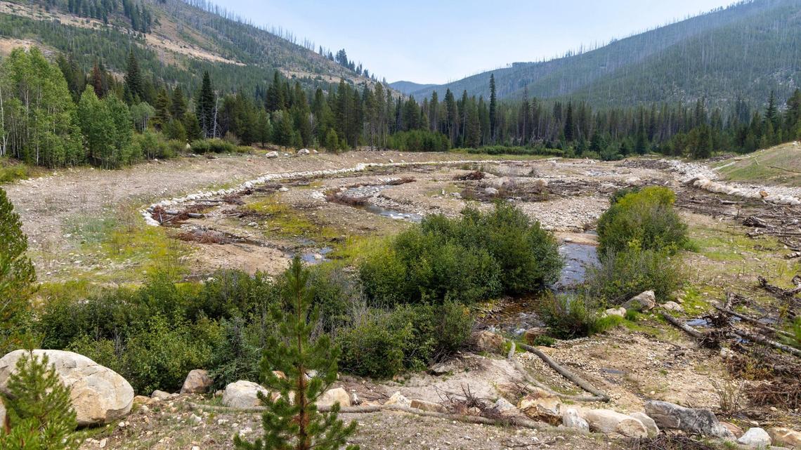 Perpetua Resources, a Canadian mining company with offices in Idaho, has spent more than $17 million on some cleanup and restoration work at the site of its proposed Stibnite Gold Project in the Payette National Forest.
