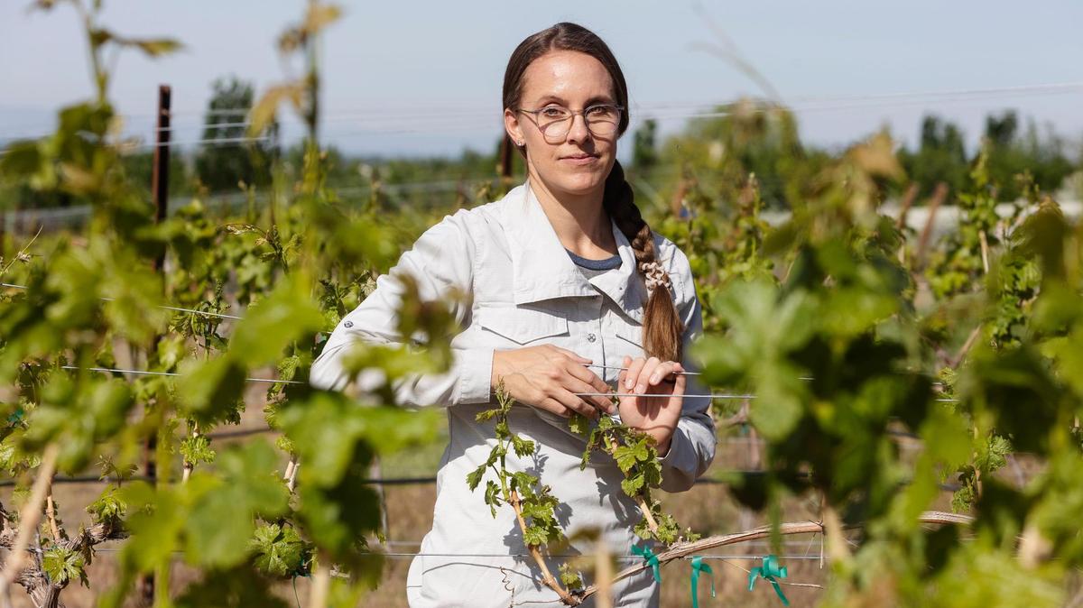 Winemaker Hailey Minder and her husband Marshall Minder own 3100 Cellars.