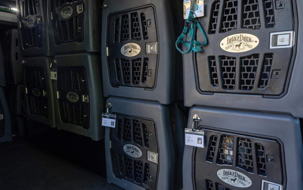 Zen den kennels are used to keep dogs safe while in transport in the Hike Doggie Treasure Valley “Bark Bus.” 
