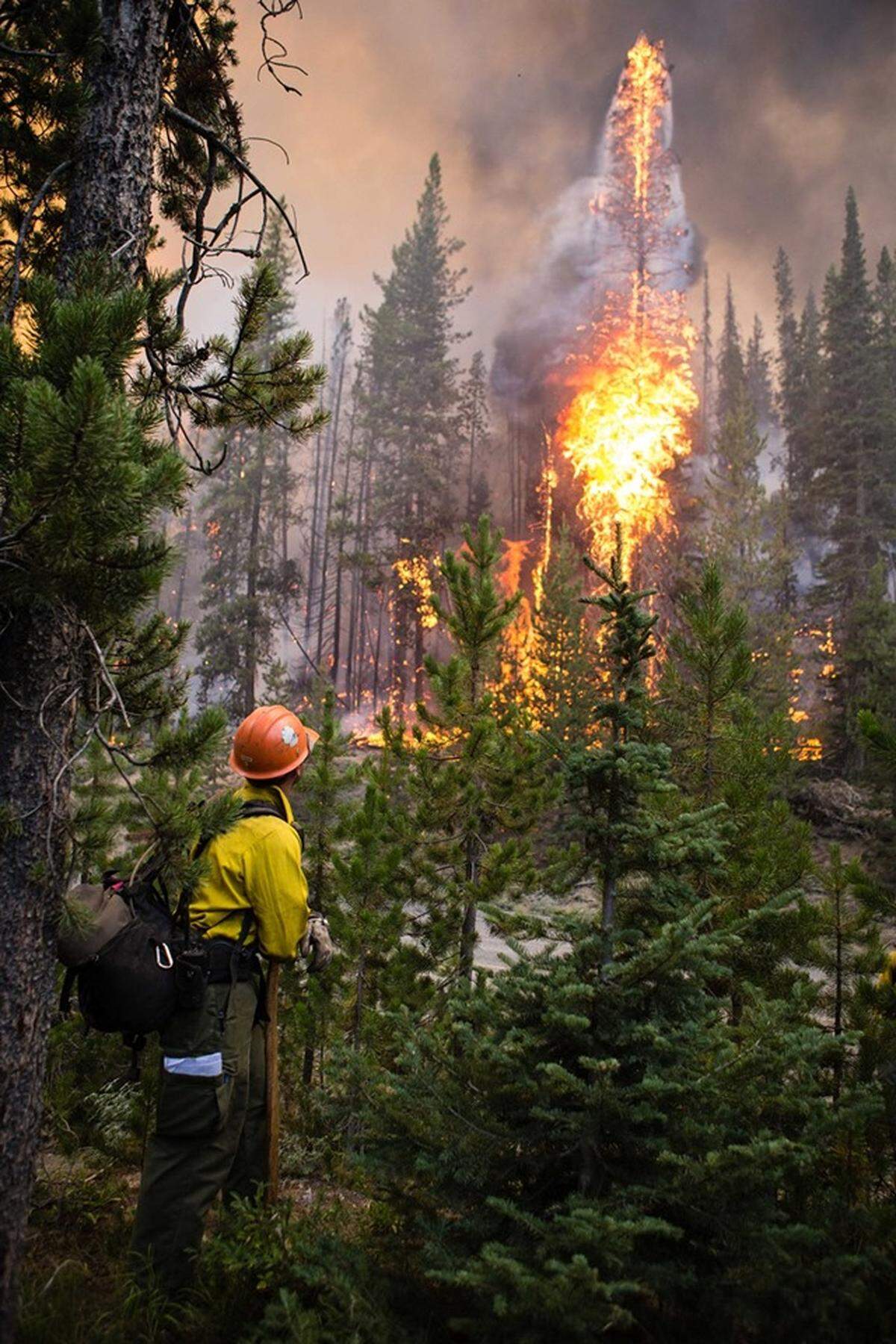 A lightning caused fire near Burgdorf Hot Springs has burned 1,000 acres, and firefighters are working to save 20 structures in the area.