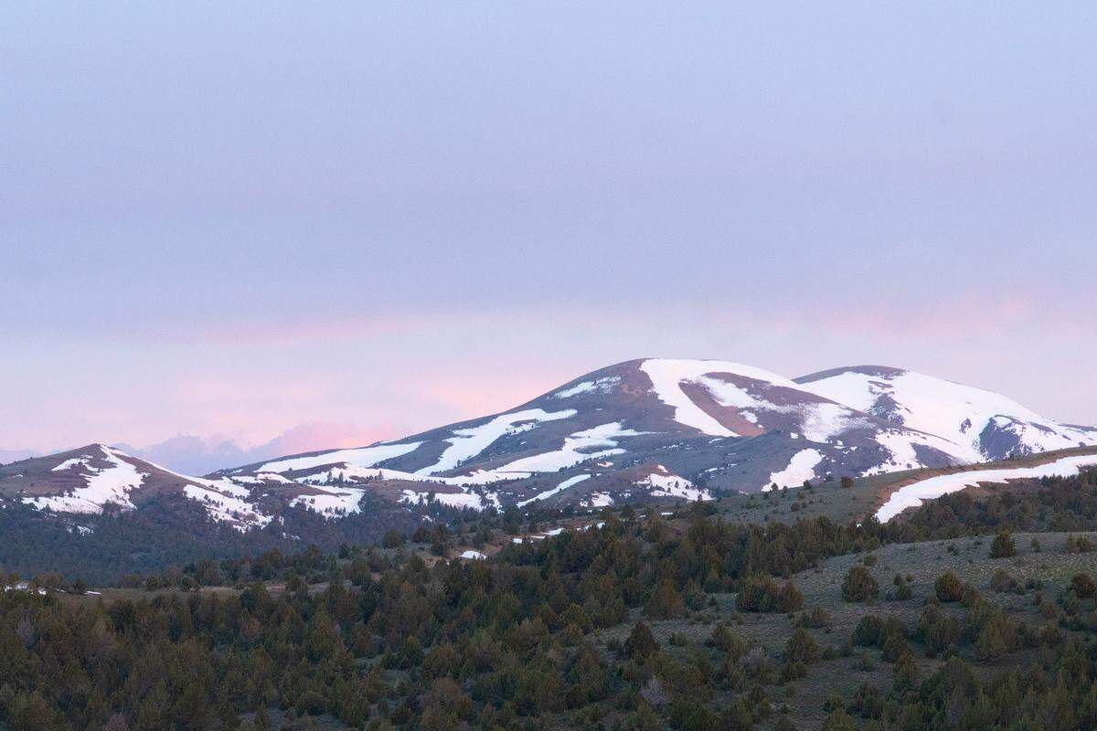 The south face of Quicksilver Mountain in the Owyhee range, cast a purple hue by the morning light.