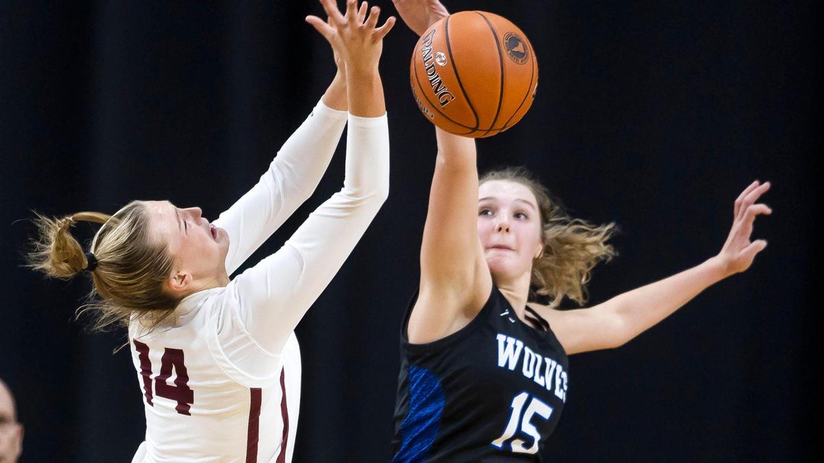 Timberline senior Kailey Huegerich blocks a shot by Rigby’s Kambree Barber but is called for a foul Thursday.