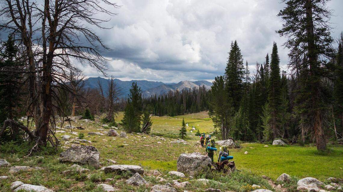 Backpackers head back to the trailhead after an overnight trip with College of Southern Idaho’s Outdoor Recreation Center on Sunday, Aug. 1, 2021, in the Salmon-Challis National Forest near Sun Valley. Backpacking and hiking grew in popularity in Idaho in 2020.
